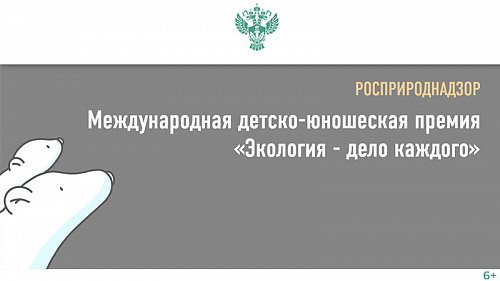 Жюри международной премии «Экология - дело каждого» возглавила Виктория Абрамченко